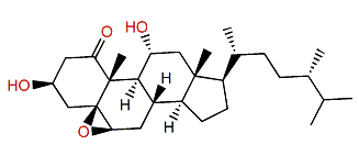 Stoloniferone N